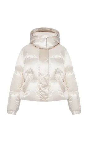 Moncler Briancon Technical Organza Down Jacket